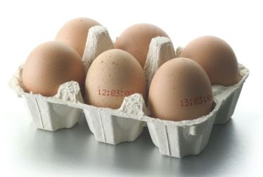 Не се притеснявайте за холестерола, ако хапвате по едно яйце на ден
